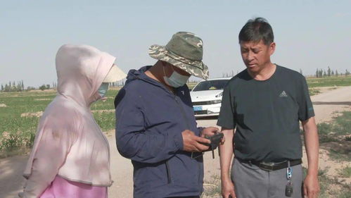 腾格里经济技术开发区 无人机撒药技术开发助力农业提质增收